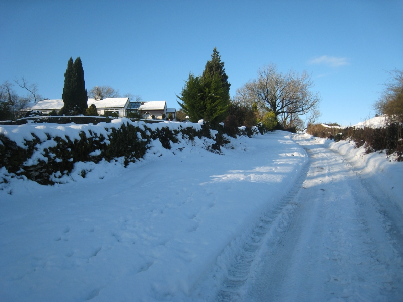Howes Winter The New Year, snow, lambs and Wassail Day